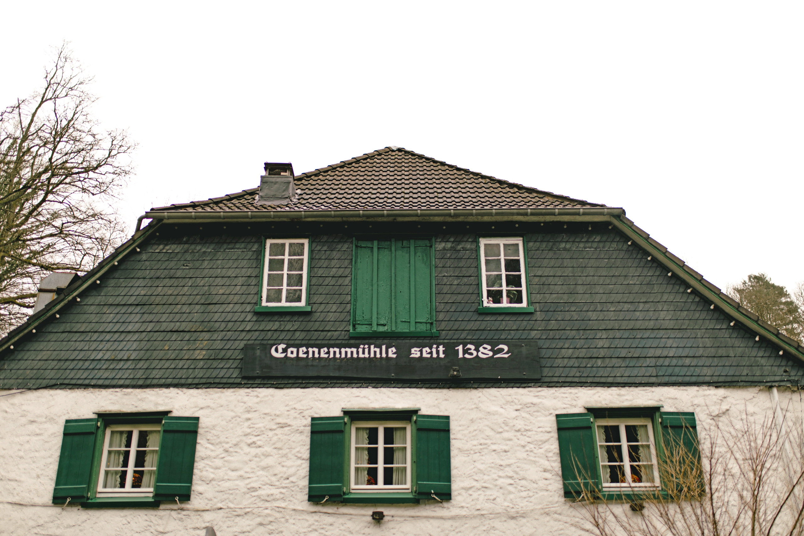Coenenm�